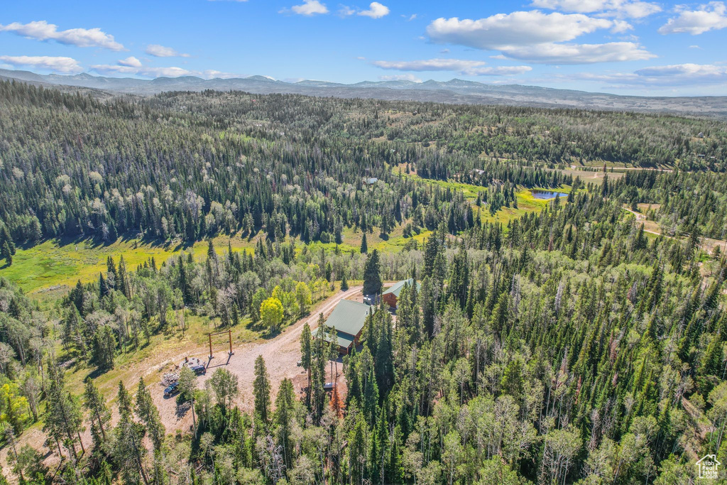 Aerial view of a forest and mountains