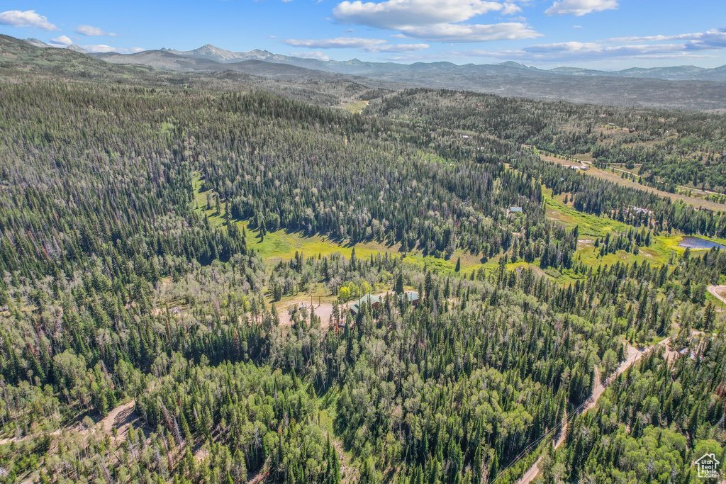Drone / aerial view of a forest and a mountainous background