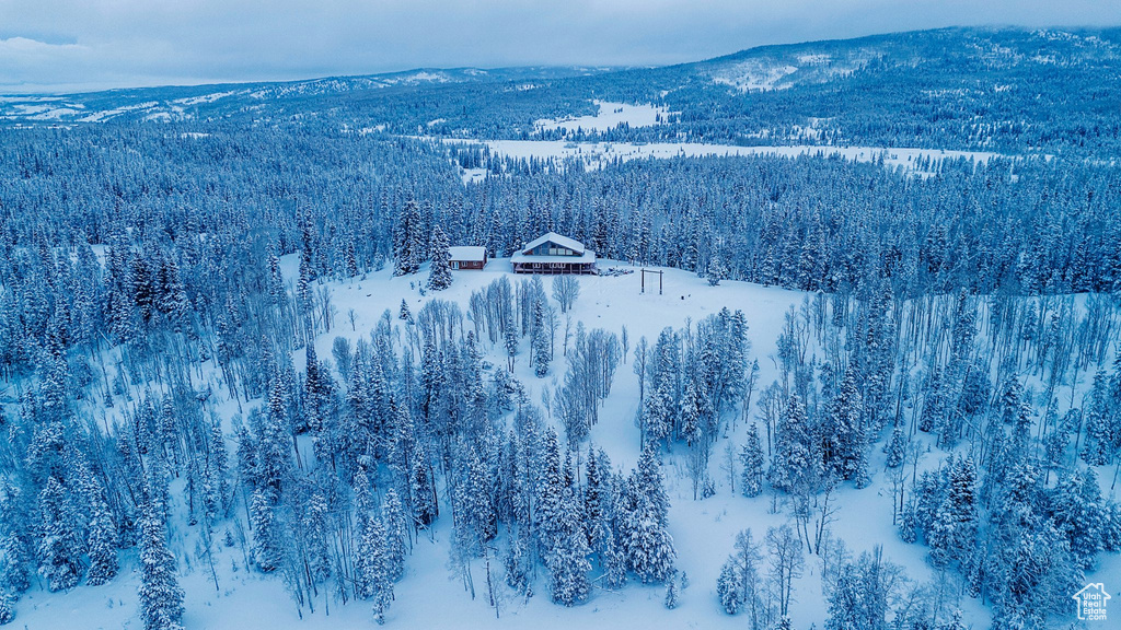 Snowy aerial view with a view of trees and a mountain view