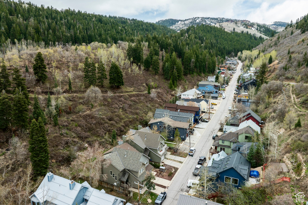 Aerial perspective of suburban area with a forest and a mountain backdrop