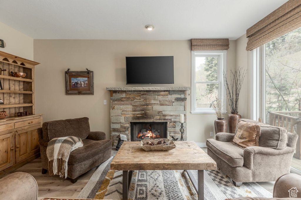Living room with light wood finished floors, a stone fireplace, and plenty of natural light