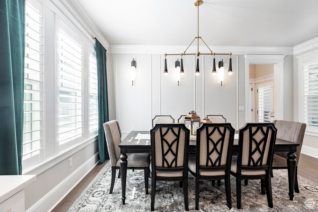 Dining space featuring plenty of natural light, dark wood-style flooring, baseboards, and ornamental molding