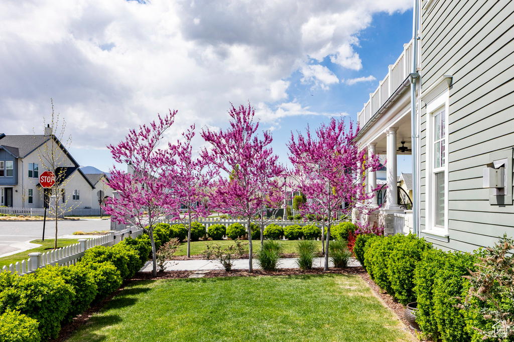 View of yard with a residential view and ceiling fan