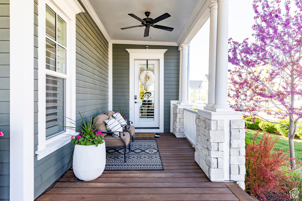 View of exterior entry featuring a porch and a ceiling fan