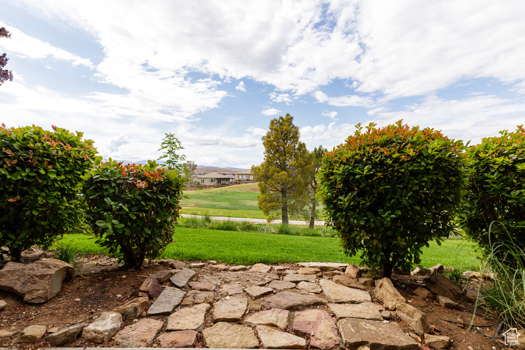 View of grassy yard