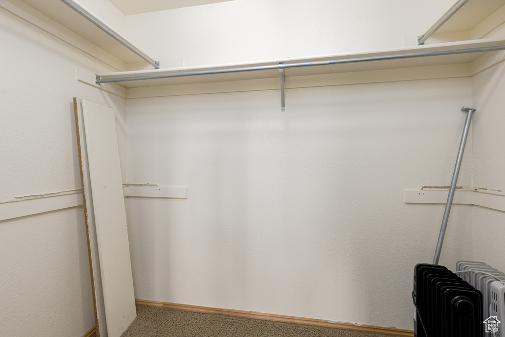 Walk in closet with radiator heating unit and carpet