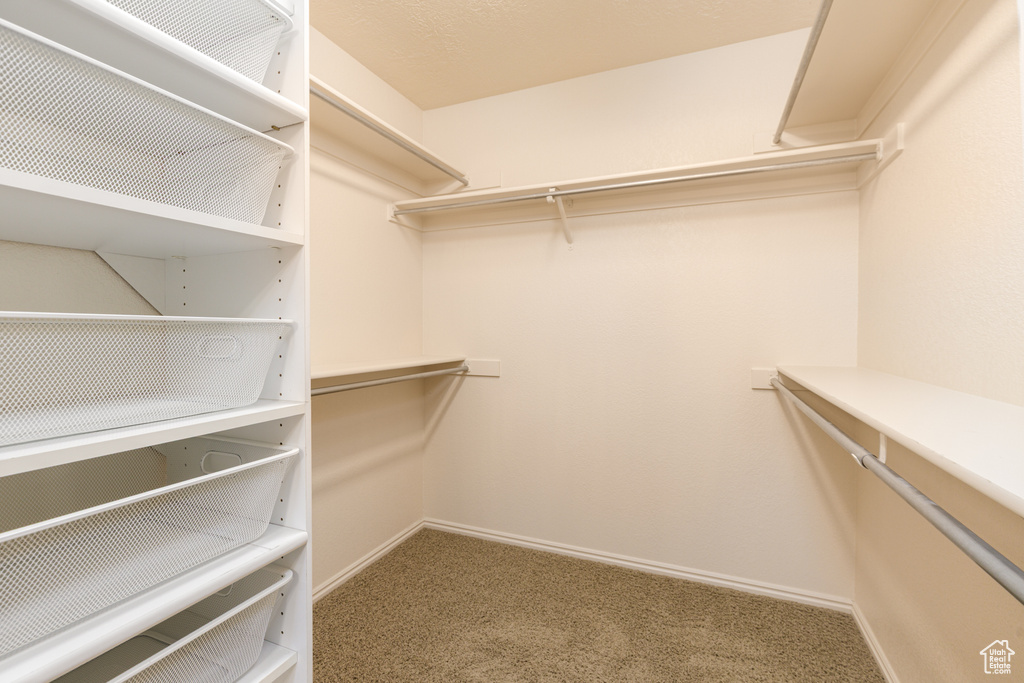 Spacious closet with carpet flooring