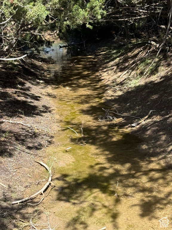 View of nature