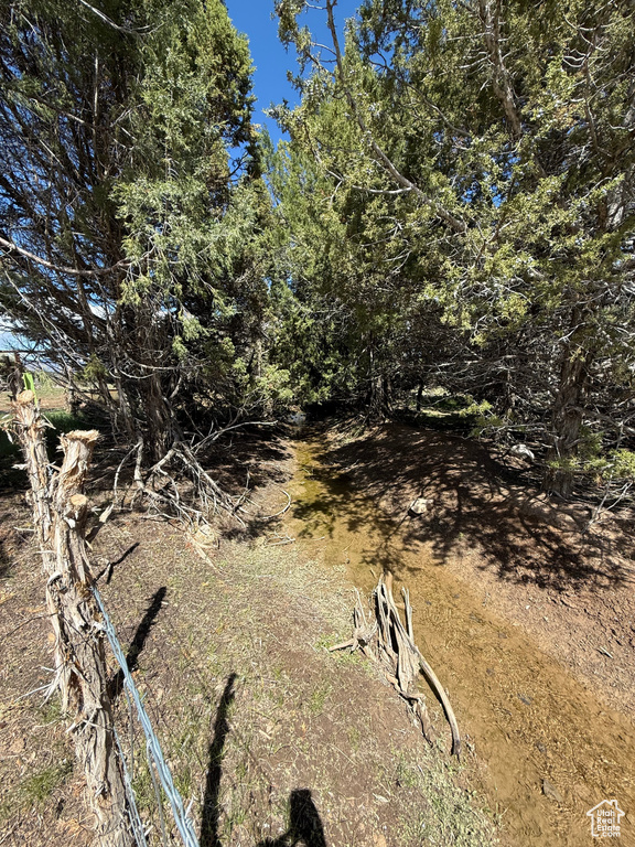 View of nature