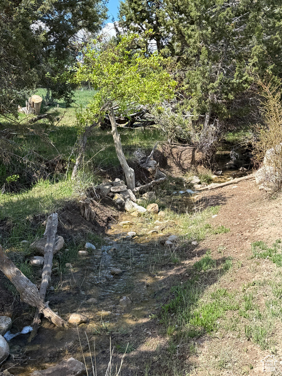 View of undeveloped land