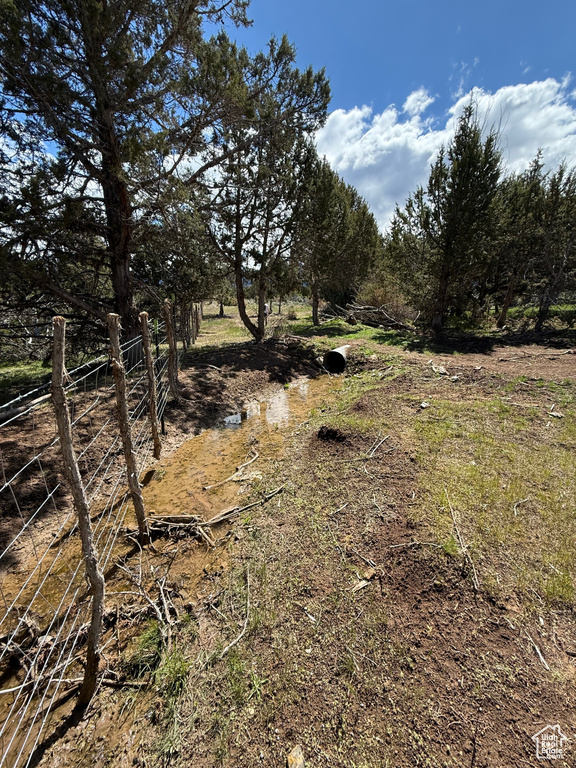 View of undeveloped land