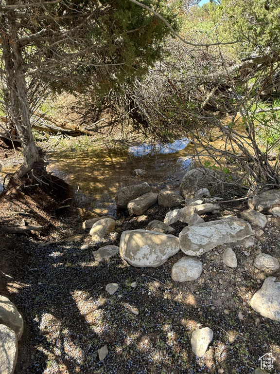 View of nature