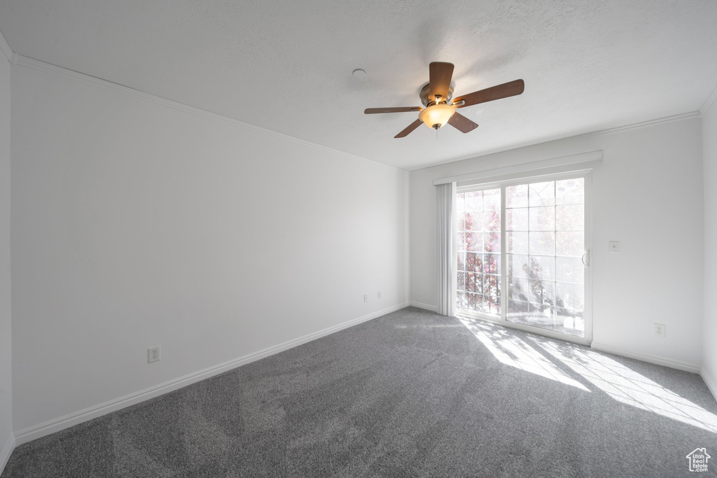 Empty room featuring baseboards, a ceiling fan, carpet flooring, and ornamental molding