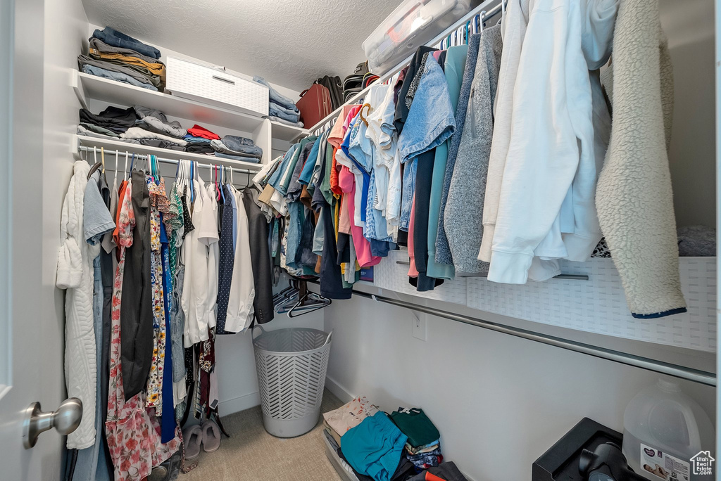 Spacious closet featuring carpet flooring