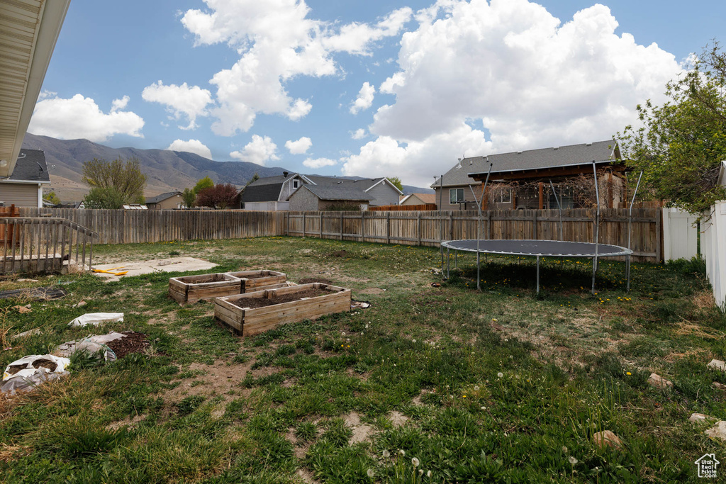 View of yard with a trampoline and a vegetable garden