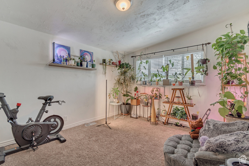 Workout area featuring carpet flooring and a textured ceiling