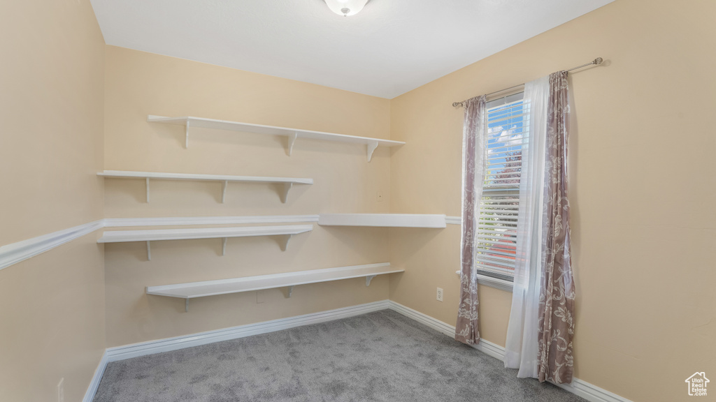 Walk in closet featuring carpet floors