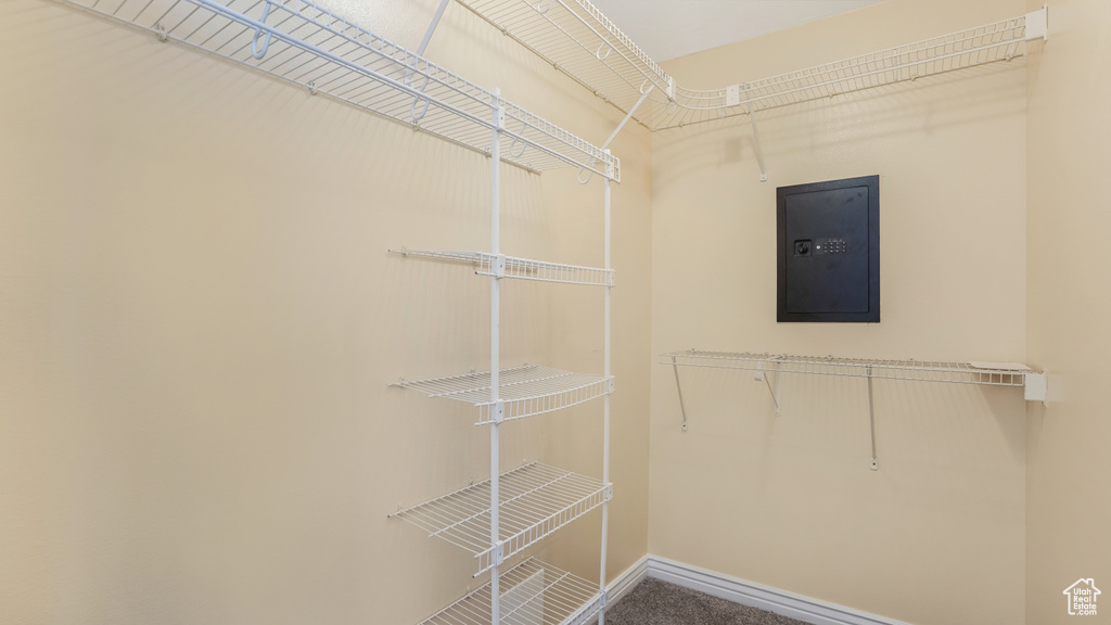 Walk in closet with electric panel