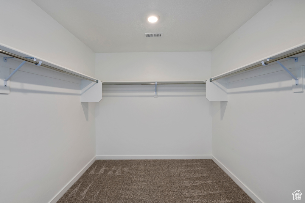 Spacious closet featuring carpet flooring