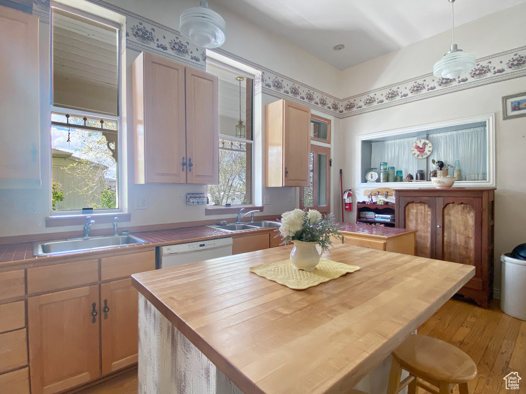Kitchen featuring a sink, white dishwasher, wooden counters, and light wood-type flooring