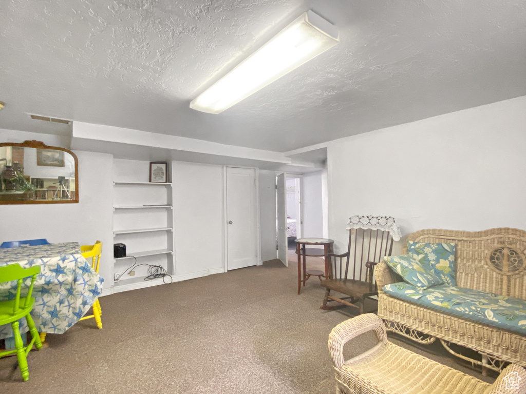Sitting room with a textured ceiling and carpet floors