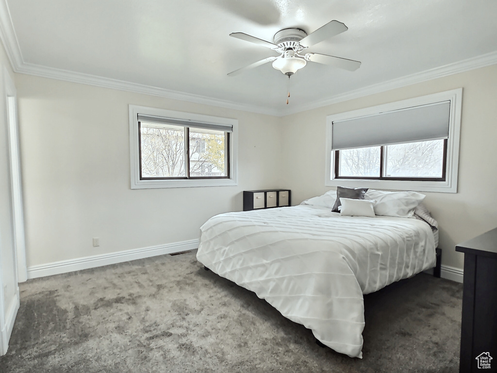 Carpeted bedroom featuring crown molding, multiple windows, baseboards, and ceiling fan
