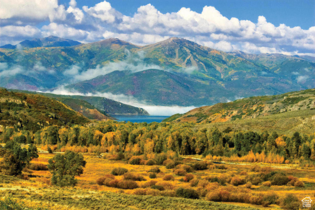 View of mountain background