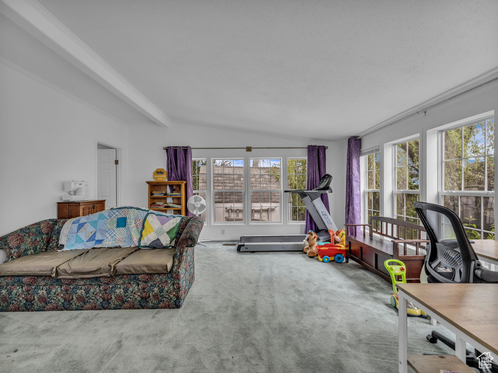 Living area with carpet flooring, plenty of natural light, and vaulted ceiling