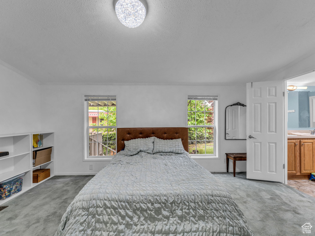 Bedroom with carpet floors, a textured ceiling, baseboards, ensuite bath, and a sink