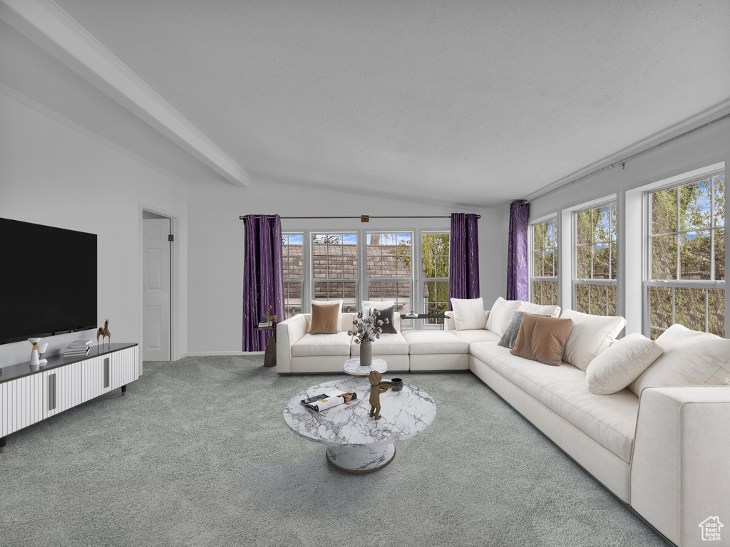 Carpeted living area featuring healthy amount of natural light and lofted ceiling