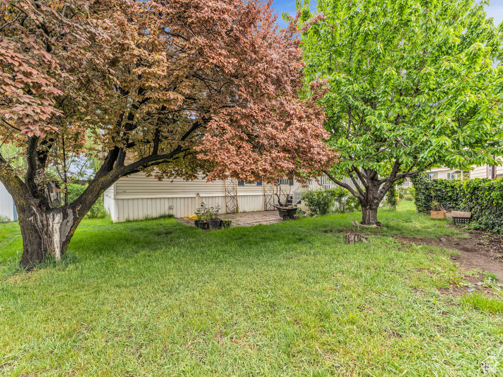 View of grassy yard