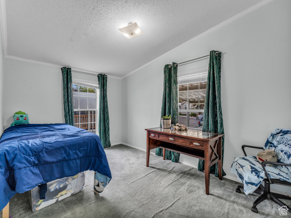 Carpeted bedroom with a textured ceiling, crown molding, and baseboards