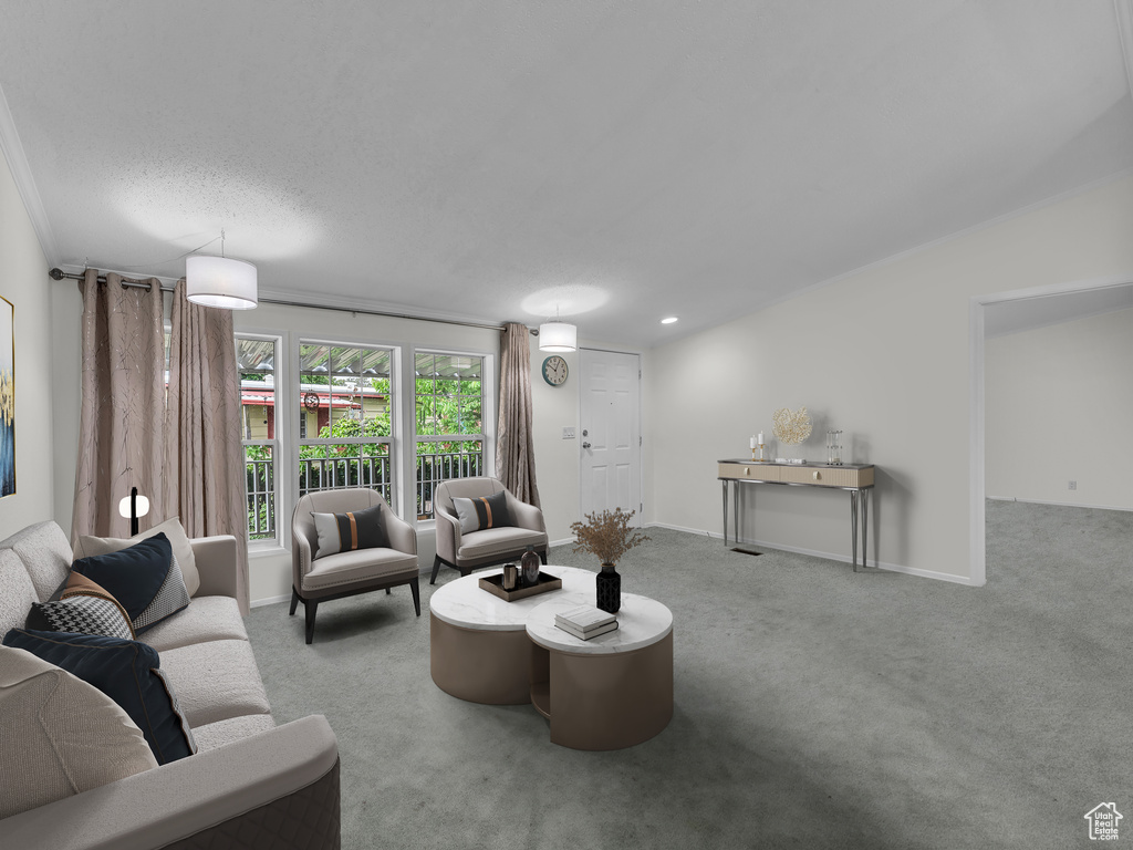 Carpeted living area featuring baseboards