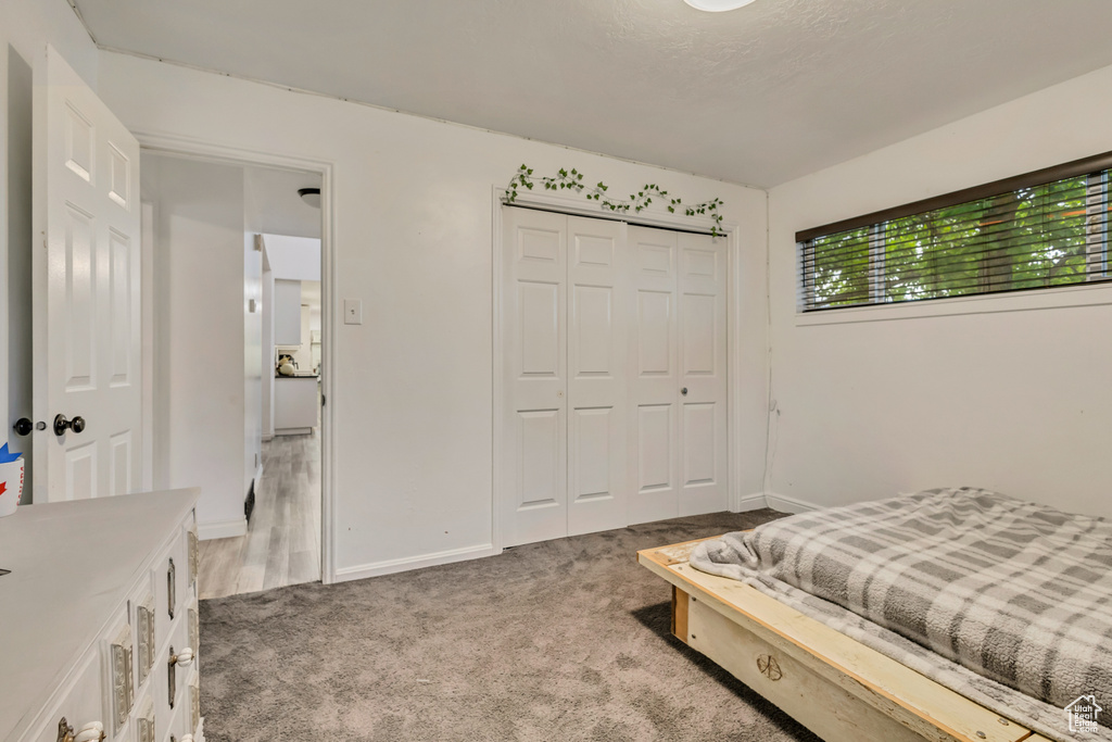 Bedroom with baseboards, a closet, and light colored carpet