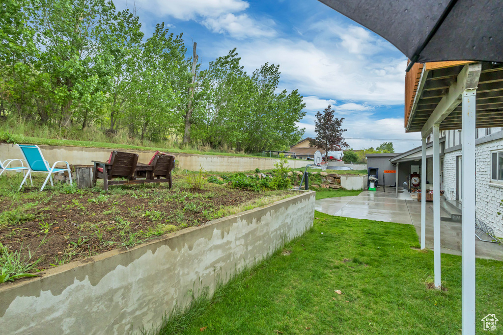 View of yard featuring a patio area