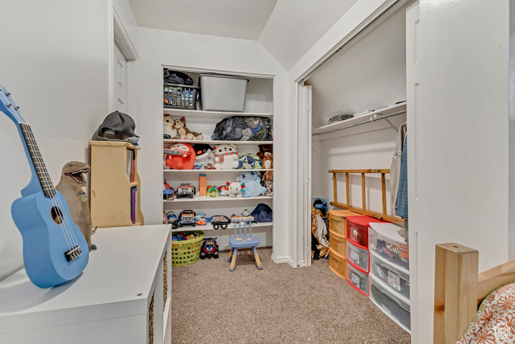 Spacious closet featuring carpet