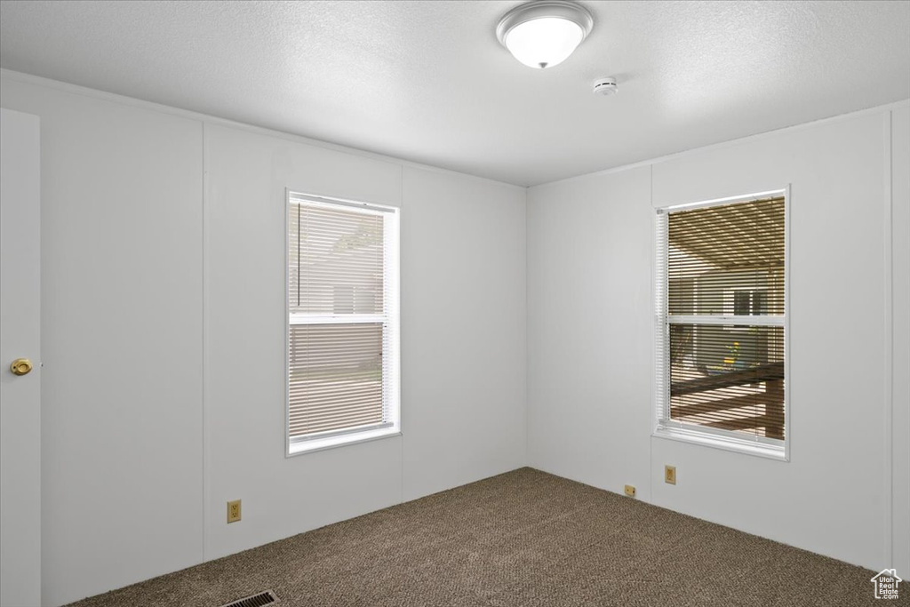 Carpeted empty room featuring healthy amount of natural light, a smoke detector, and a textured ceiling