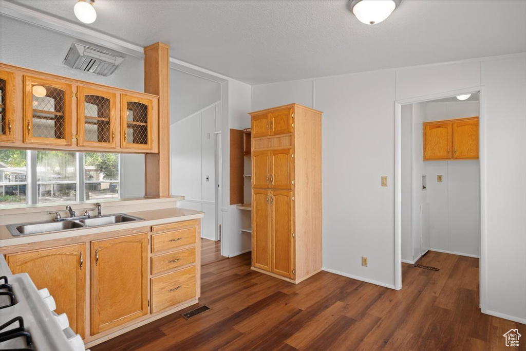 Kitchen with a sink, dark wood-style flooring, light countertops, glass insert cabinets, and stove