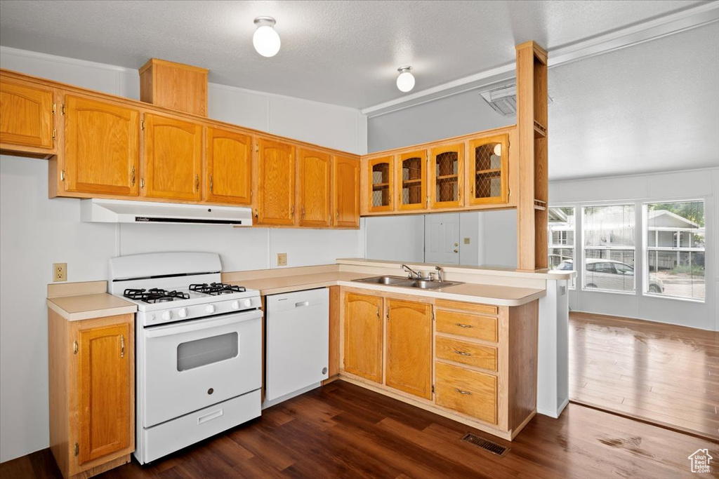 Kitchen with white appliances, ventilation hood, a sink, light countertops, and dark wood-type flooring