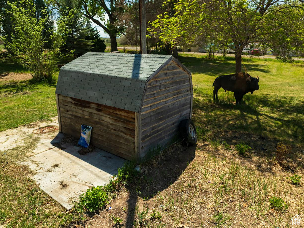 View of shed