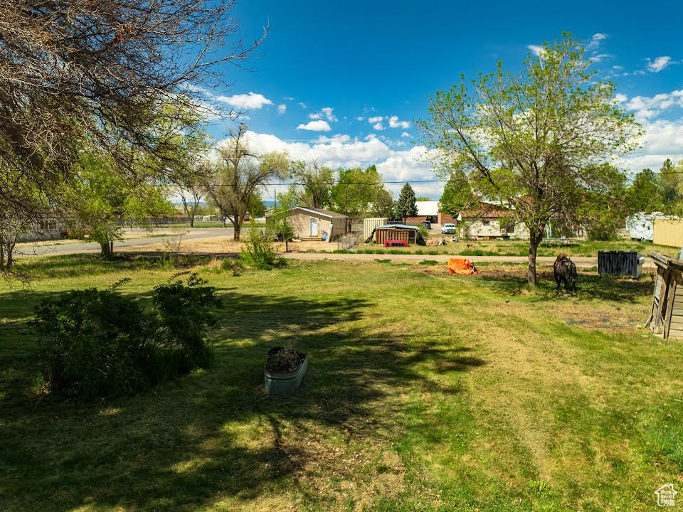 View of green lawn