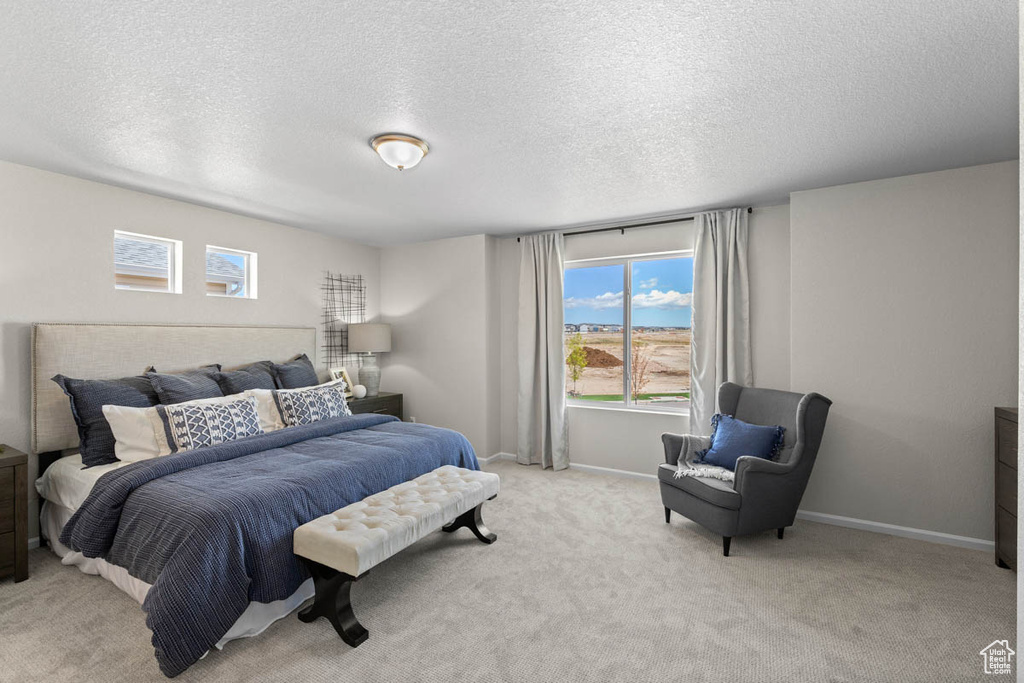 Bedroom with multiple windows, light carpet, a textured ceiling, and baseboards