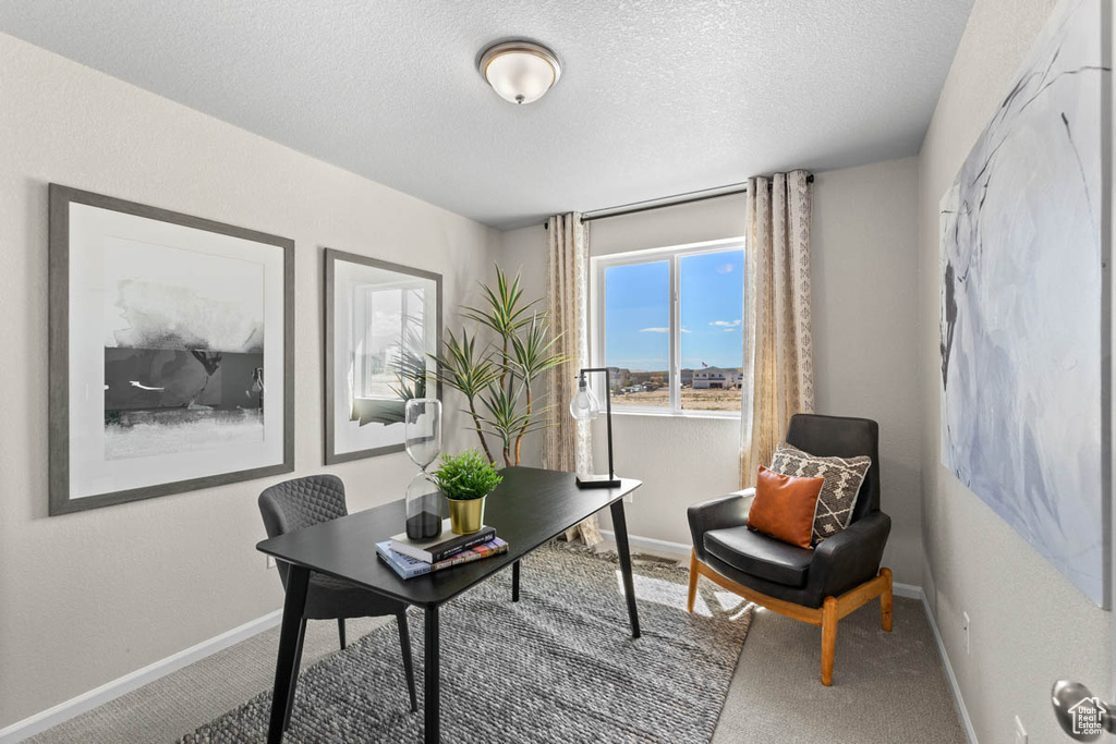 Home office featuring carpet, baseboards, and a textured ceiling