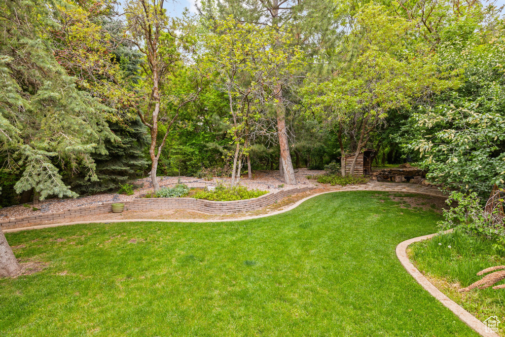 View of yard