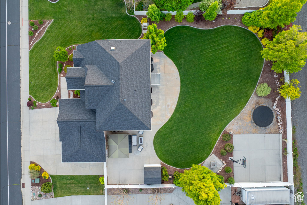 Bird\'s eye view