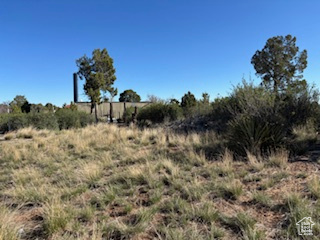 View of undeveloped land