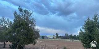 View of yard featuring a view of rural / pastoral area