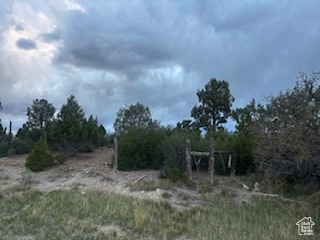 View of nature