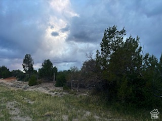 View of nature