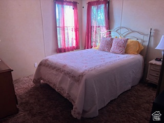 Bedroom with carpet flooring